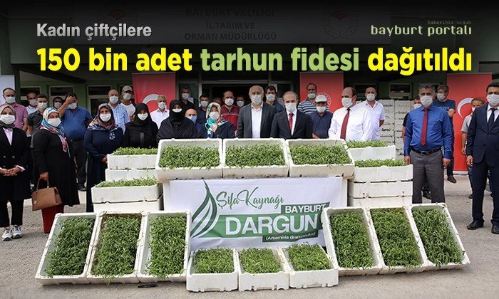 Kadın çiftçilere 150 bin adet ‘tarhun fidesi’ dağıtıldı