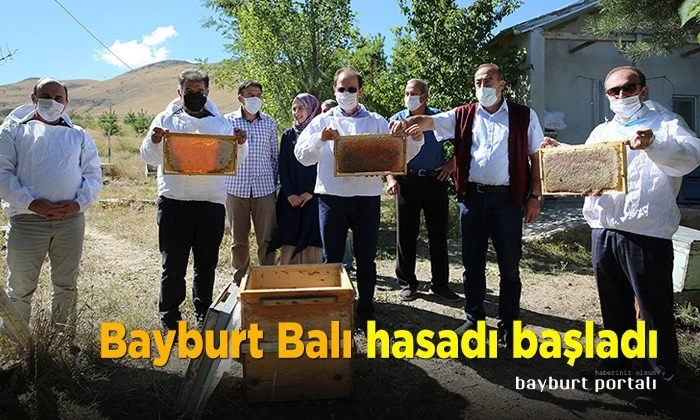 Bayburt Balı hasadı başladı