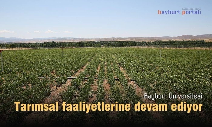 Bayburt Üniversitesi, tarımsal faaliyetlerine devam ediyor