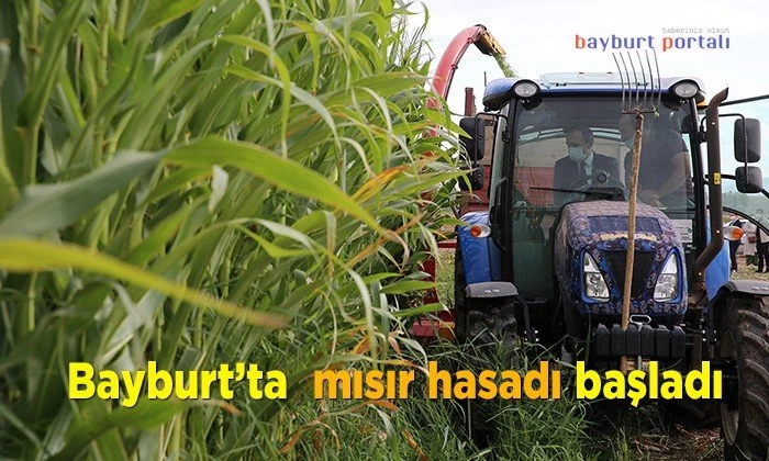 Bayburt’ta mısır hasadı başladı