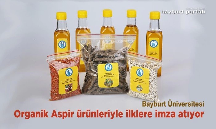 Bayburt Üniversitesi, organik Aspir ürünleri elde etmeyi başardı