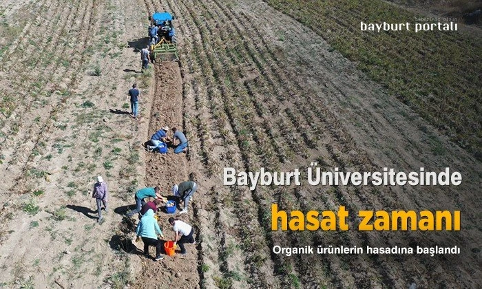 Bayburt Üniversitesinde hasat zamanı