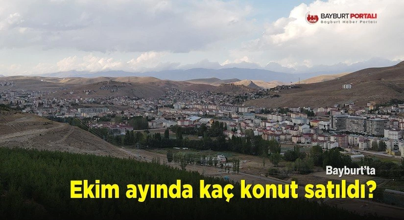 Bayburt’un 2020 Ekim ayı konut satış istatistikleri açıklandı