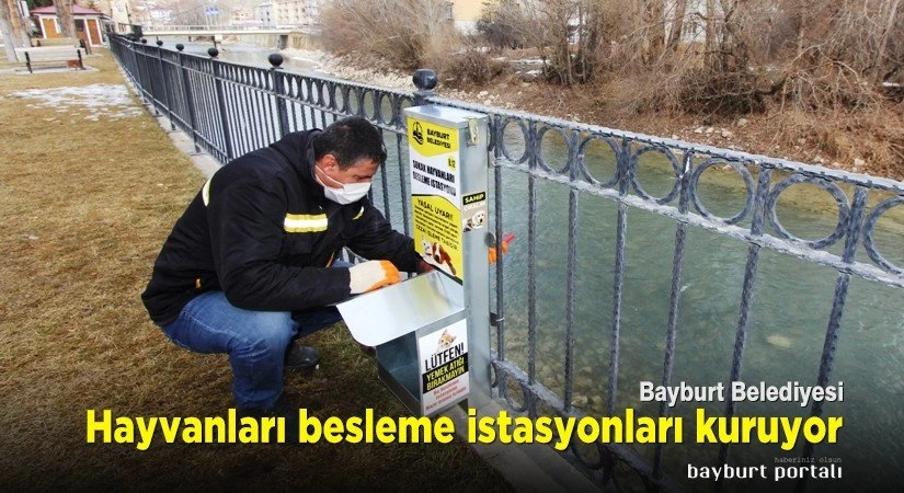 Bayburt Belediyesi, hayvanları besleme istasyonları kuruyor
