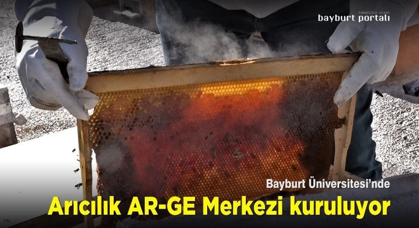 Bayburt Üniversitesinde Arıcılık AR-GE Merkezi kuruluyor