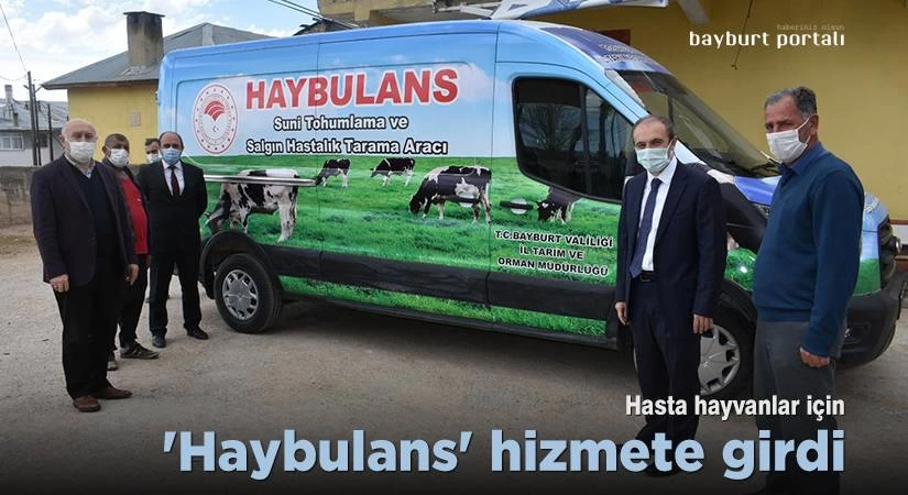 Bayburt’ta hasta hayvanlar için ‘Haybulans’ hizmete girdi