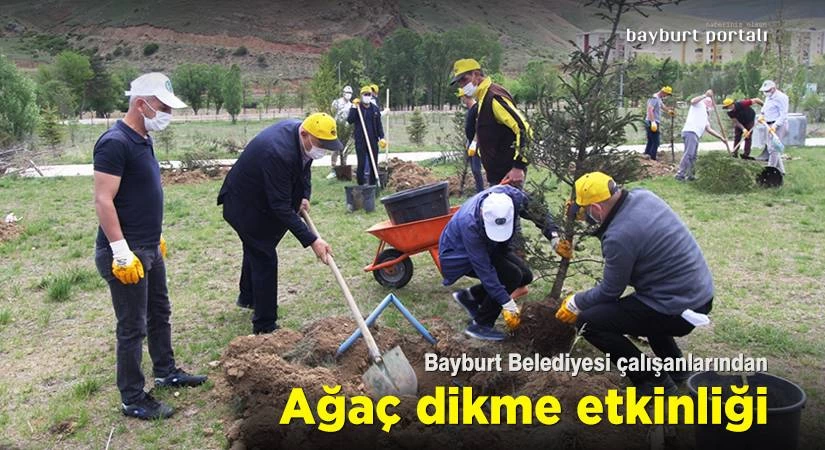 Bayburt Belediyesi çalışanları, ağaç dikti