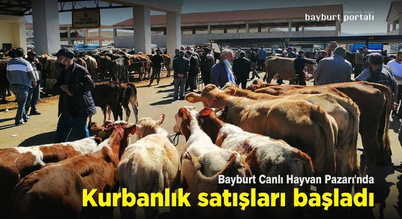 Bayburt Canlı Hayvan Pazarı’nda kurbanlık satışları başladı