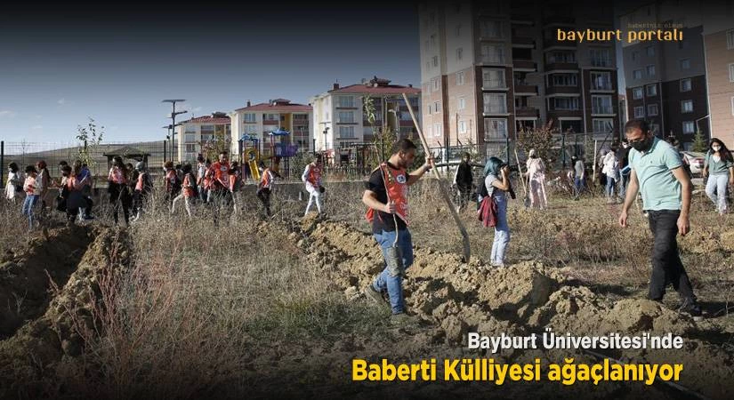 Bayburt Üniversitesi Baberti Külliyesi ağaçlanıyor