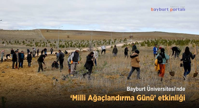 Bayburt Üniversitesi, ağaçlanıyor