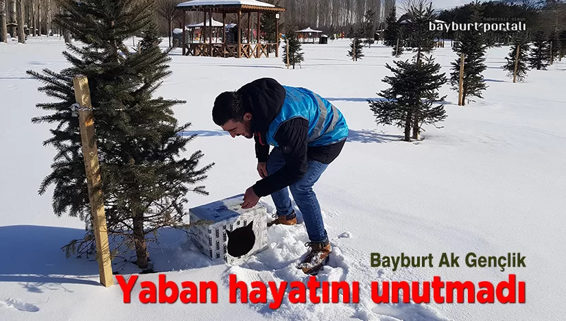AK Parti Bayburt Gençlik Kolları, yaban hayatını unutmadı