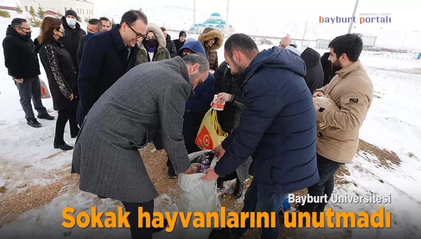 Bayburt Üniversitesi, sokak hayvanlarını unutmadı