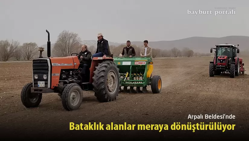 Arpalı Beldesi’nde bataklık alanlar meraya dönüştürülüyor