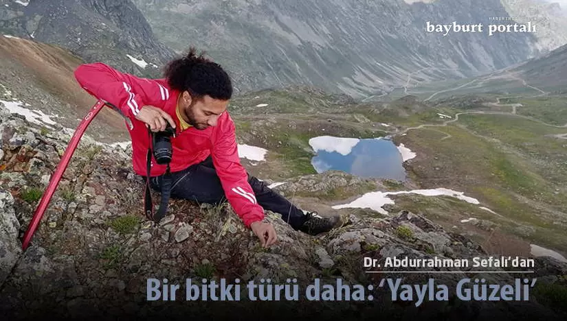 Abdurrahman Sefalı’dan bir bitki türü daha: ‘Yayla Güzeli’