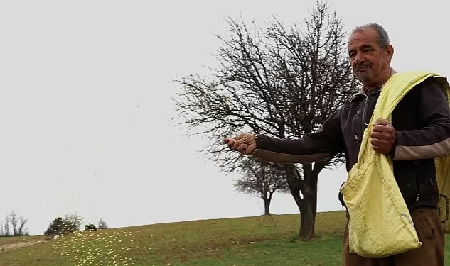 Ata tohumu desteği ile ekilemeyen alanlar tarıma kazandırılıyor