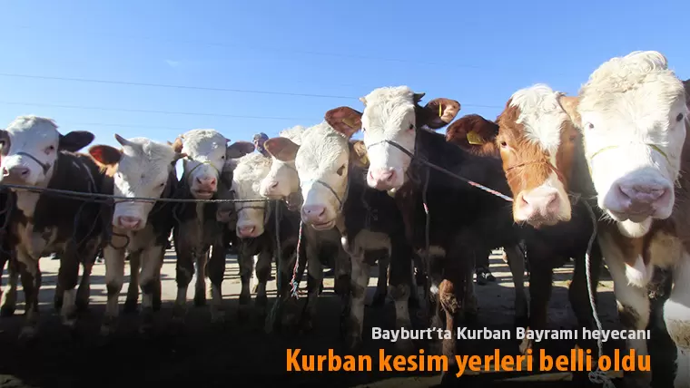 Bayburt’ta Kurban Bayramı hazırlıkları tamamlandı