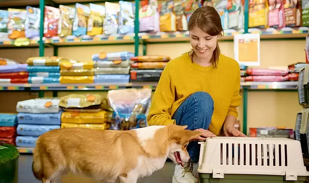 Türkiye’de yaşanan evcil hayvan ebeveynleri sağlıklı ürünleri tercih ediyor