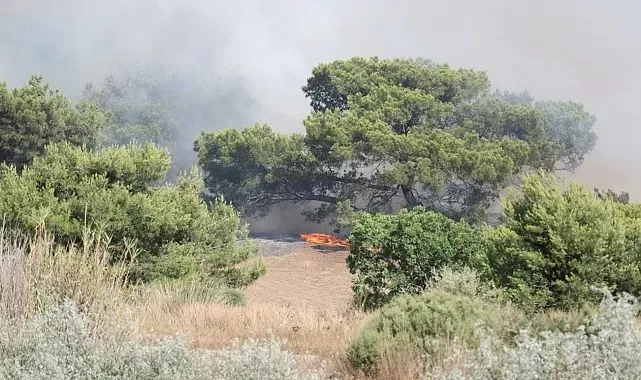 Antalya Lara bölgesinde orman yangını çıktı