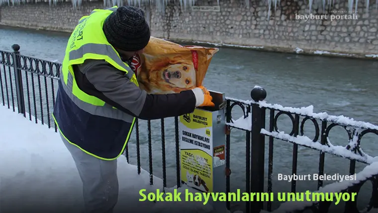 Bayburt Belediyesi, sokak hayvanları için besleme istasyonlarını doldurdu