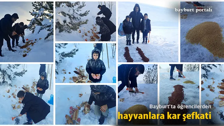 Bayburt’ta öğrencilerden hayvanlara kar şefkati