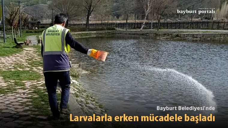 Bayburt Belediyesi’nde larvalarla erken mücadele başladı