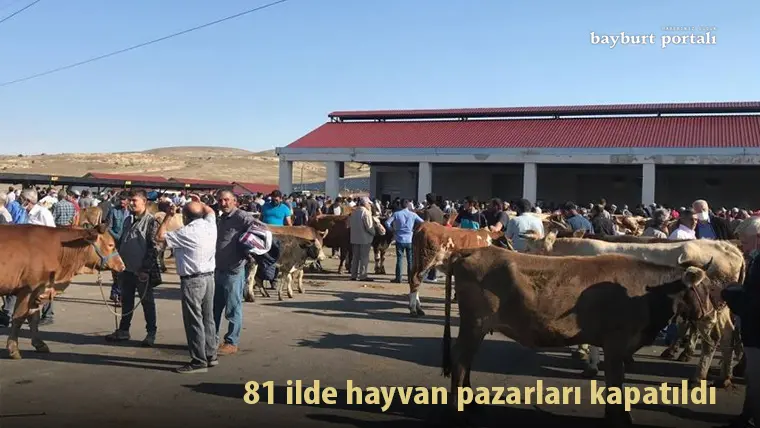 81 ilde hayvan pazarları kapatıldı