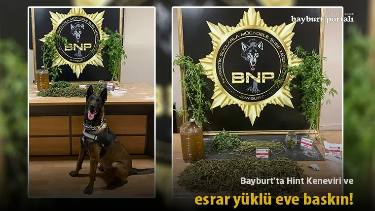 Bayburt’ta Hint Keneviri ve esrar yüklü eve baskın!