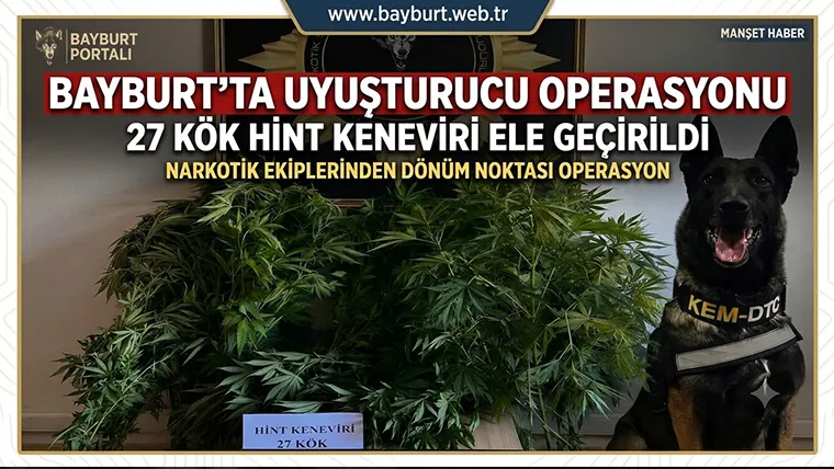 Bayburt’ta Uyuşturucu Operasyonu: 27 Kök Hint Keneviri Ele Geçirildi